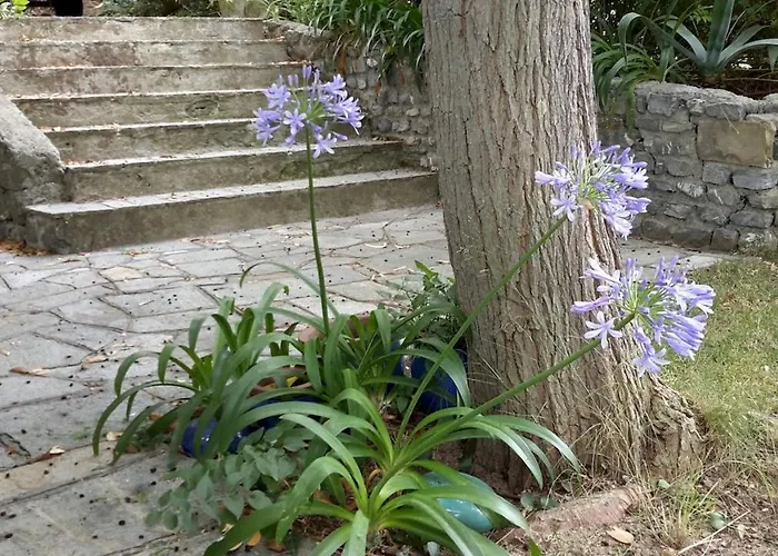 Lägenhet Deliziosa Casetta Con Dehor E Giardino Immersa Nel Ligure